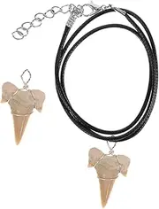 [WHAMVOX] Men's Shark Tooth Pendant Sharp Teeth Charms Necklace Cool Charm Decor Perfect Present for Friends