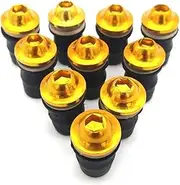 Motorcycle Screw Kit Bolts Windscreen Bolt Screws for Kawasaki for Ninja 300 250R(Gold)