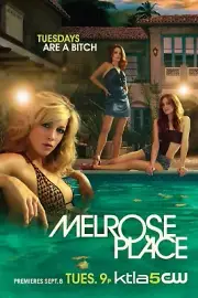 Free Same Day Shipping MELROSE PLACE 2009 Katie Cassidy Borderless 11x17 Poster