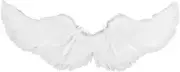 Angel Wings, Cosplay Costumes Feather Angel Wing for Kids, Adults, Women, Girls,