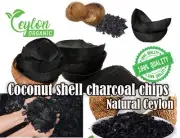 Ceylon Coconut Shell Charcoal & 100% Organic Activated Carbon Chips - Natural an