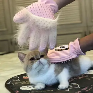 擼貓手套 梳毛神器貓咪專用脫毛梳子 去浮毛刷貓毛清理器貓咪用品