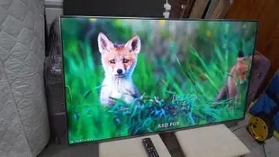 Panasonic 國際牌 55吋 4K 智慧聯網 液晶電視 TH-55FX700W