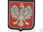 Medieval Royal Poland Polish Eagle War Shield Kingdom King Crest Patch Hussar EU