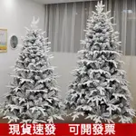 PE聖誕樹 聖誕節裝飾 白色雪花植絨聖誕樹 仿真雪松 雪景裝潢 白色聖誕樹 松果聖誕樹 聖誕樹 聖誕節 大聖誕樹