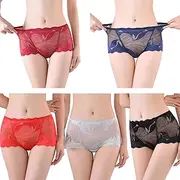 [ALEPXS] Safety Certification Lace Underwear for Women Mid-Rise Sexy Sheer Hipster Panty for Ladies, Pack- 5