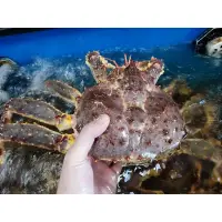在飛比找蝦皮購物優惠-日本北海道帝王蟹3-5kg