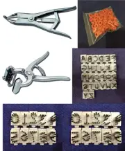 Elastrator/Castrator S/S with Bands & Standard Tattoo Plier Kit 3/8" - Calf