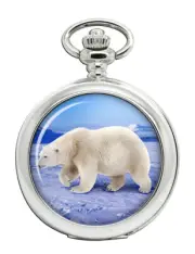 Polar Bear Pocket Watch