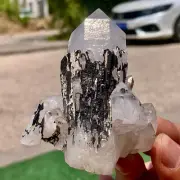 185G Natural White Crystal Backbone Cluster Black Mineral Mud Specimen