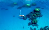 在飛比找KLOOK 客路優惠-凱恩斯大堡礁潛水 & 浮潛 & 遊船體驗