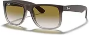 [Ray-Ban] RB4165 JUSTIN Sunglasses For Men For Women+ BUNDLE with Designer iWear Eyewear Care Kit