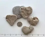 5 large Natural ❤️ Heart Shaped Beach Hag Holey Stones 2-3" Love Rocks Craft H8A