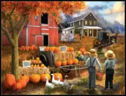 Amish Pumpkin Patch - Chart Counted Cross Stitch Patterns Needlework DMC Color