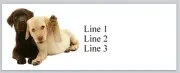 Personalized Address Labels Two Cute Labrador Puppies (JX 300)