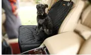 Cross border supply of pet car mats, vehicle mats, dog cars, thickening waterpro