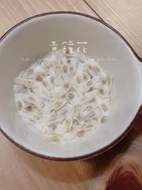 在飛比找露天拍賣優惠-黃鐘花種子