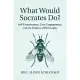 What Would Socrates Do?: Self-Examination, Civic Engagement, and the Politics of Philosophy