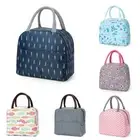 Food Storage Thermal Lunch Box Multicolor School Picnic Handbags Adult