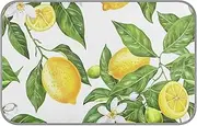 Amooorous Lemon and Lemon Tree Leaves Summer Cooling mat Outdoor Self Cooling mat for Cats Outdoor for Kittens Outside cat Accessories Manta Fria para Perros M