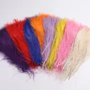 25-30cm 10pcs Peacock Feathers for DIY Craft Decorative Feather Party Bouquet
