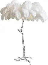 Luxury Ostrich Feather Floor Lamp for Girl Bedroom, Dimmable Silver Resin Floor Lamp with Foot Switch, Stylish 3 Color LED Bulb Included, Perfect for