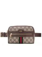 Gucci Ophidia GG Belt Bag