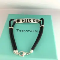 在飛比找Yahoo!奇摩拍賣優惠-Tiffany & co. 專櫃 正品 純銀 蒂芬妮 羅馬 