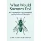 What Would Socrates Do?