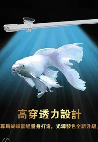 在飛比找蝦皮購物優惠-🎊🎊 🇹🇼 台灣惠弘  5尺 LED水中燈 (銀白燈 龍魚銀
