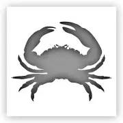 Cancer Crab Stencil - Choose a Size - Laser-Cut Reusable Plastic