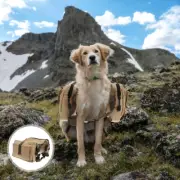 Dog Backpack Hiking Traveling Camping Training Harness Dog Saddle Bag Canvas