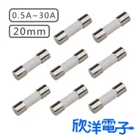 在飛比找蝦皮購物優惠-20mm 陶瓷管耐熱保險絲 250V 0.5A~30A 電子