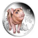 現貨 澳大利亞2019已亥生肖豬寶寶紀念幣 收藏動物鍍銀幣賀歲彩色硬幣