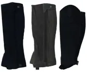 Taurus Adults Leather - Gaiters / Half chaps