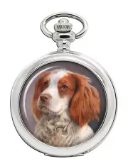 Welsh Springer Spaniel Pocket Watch