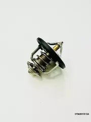 Thermostat for HYUNDAI TUSCON 2.0 PETROL 2004 - 2012 CTM/HY/015A (for: Hyundai)