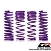 D2 Racing PRO Lowering Springs 2.2"F/2.0"R Drop For 2000-2009 Honda S2000 S2K