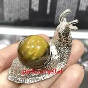 1pc Natural Tiger’s Eye Jasper Snail Skull Quartz Crystal Skull Reiki 20mm 2.1"