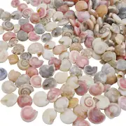 200 Mix Tiny Conch Snail Shells Seashells Beach Wedding Nautical Decor 4-12 mm