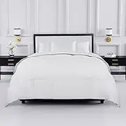 kate spade New York Noel Full/Queen Comforter, Down Alternative Comforter with Jacquard Dot Design, 300 Thread Count and 100% Cotton, All Season Bedding, Machine Washable, White