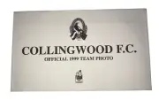 Collingwood F.C. AFL Official 1999 Team Photo ( New Sealed Envelope )
