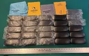 Scojo New York Hardshell Clamshell Glasses Cases (Set of 26) - New with Cloths