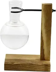 Propagation Stations - Test Tube Hydroponic Rack Clear Propagating Station with Wooden Stand | Flower Rack Hydroponic Container Vase Jars for Women, Mom, Home