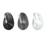 Royche Rechargeable Wireless Vertical Ergonomic Wrist Support Mouse RX-800V
