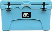 [Polar Bear Coolers] 45 Seafoam, 45 can