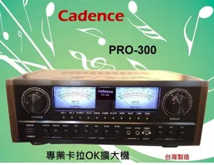 金嗓CPX-900 R3點歌組合 +BEPRO G-600喇叭+ LAND LM-750 麥克風+ PRO-300擴大機