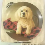 "Shirt Tales - The Cocker Spaniel" 6th in "Field Puppies" Lynn Kaatz