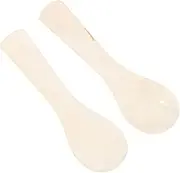 NAMOARLY Elegant Petal Shape Spoon Set 2pcs for Iced Tea Dessert Caviar Asian Soup Small Serving Spoon