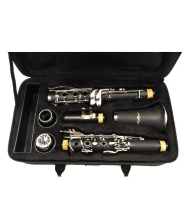 NEW Bb CONCERT MILLBROOK STUDENT INTERMEDIATE BAND CLARINET